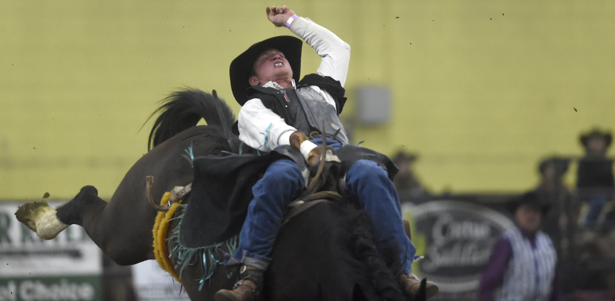 CSI Rodeo, 2018